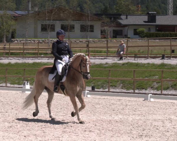 Reitturnier St. Ulrich am Pillersee 2023