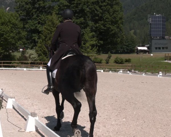 Reitturnier St. Ulrich am Pillersee 2023