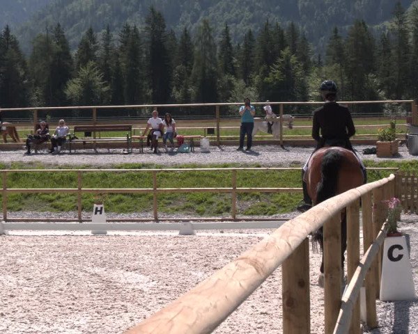 Reitturnier St. Ulrich am Pillersee 2023