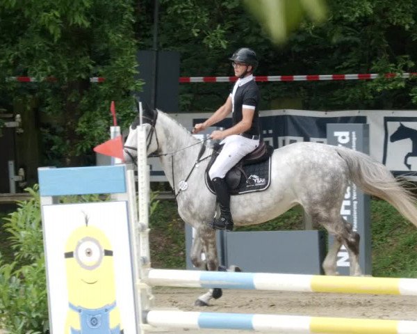Reitturnier Walldorf/Winterheck PSG 2023