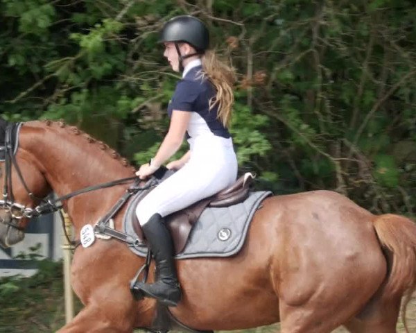 Reitturnier Walldorf/Winterheck PSG 2023