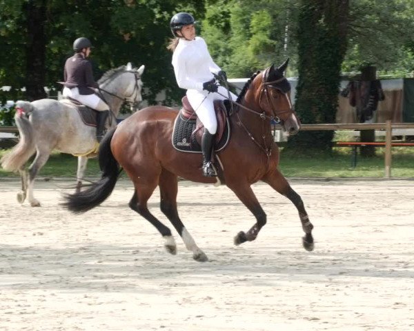 Reitturnier Walldorf/Winterheck PSG 2023