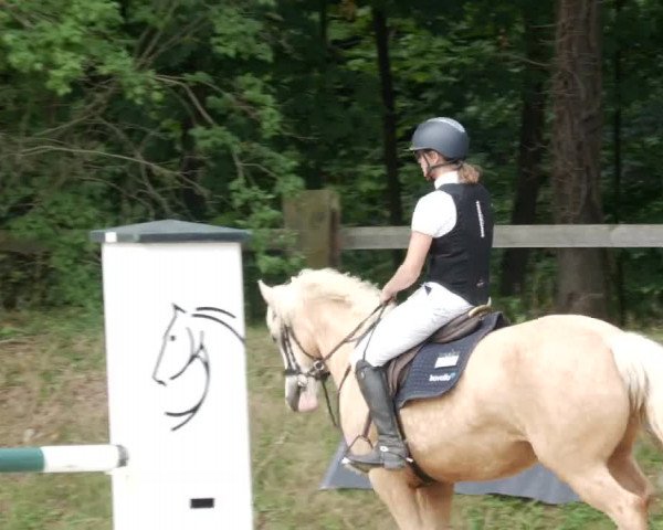 Reitturnier Walldorf/Winterheck PSG 2023