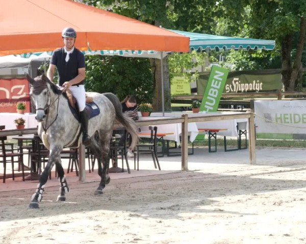Reitturnier Walldorf/Winterheck PSG 2023