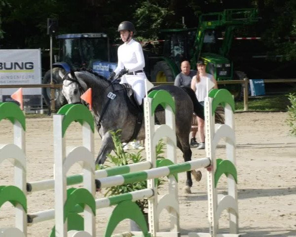Reitturnier Walldorf/Winterheck PSG 2023