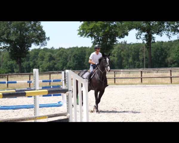 Video of Gabbianos Charlet