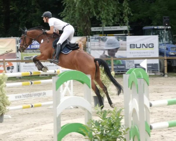 Reitturnier Walldorf/Winterheck PSG 2023
