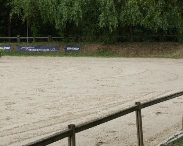 Reitturnier Walldorf/Winterheck PSG 2023