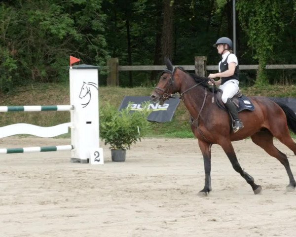 Reitturnier Walldorf/Winterheck PSG 2023