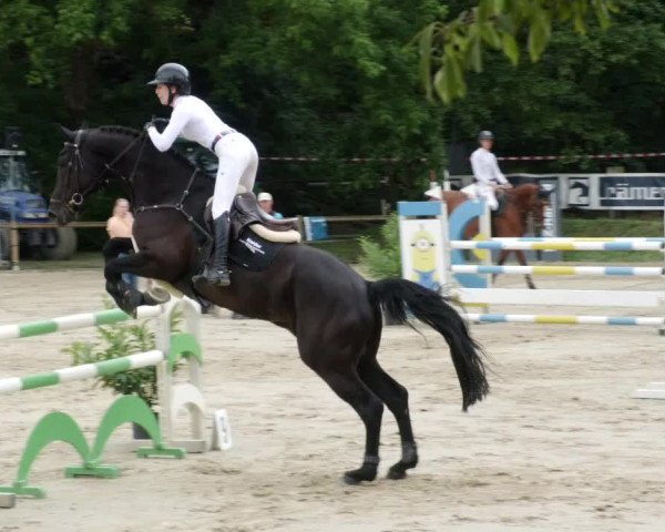 Reitturnier Walldorf/Winterheck PSG 2023