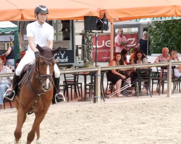 Reitturnier Walldorf/Winterheck PSG 2023