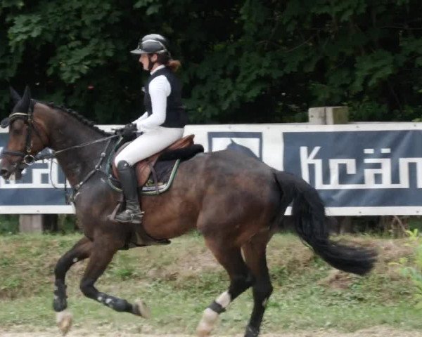Reitturnier Walldorf/Winterheck PSG 2023