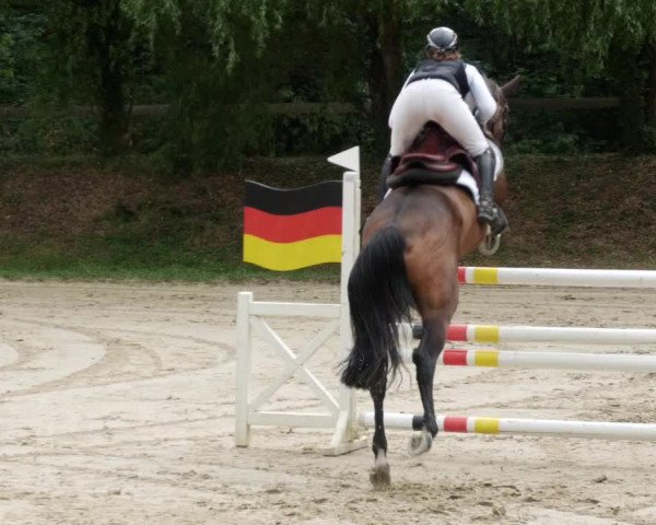 Reitturnier Walldorf/Winterheck PSG 2023