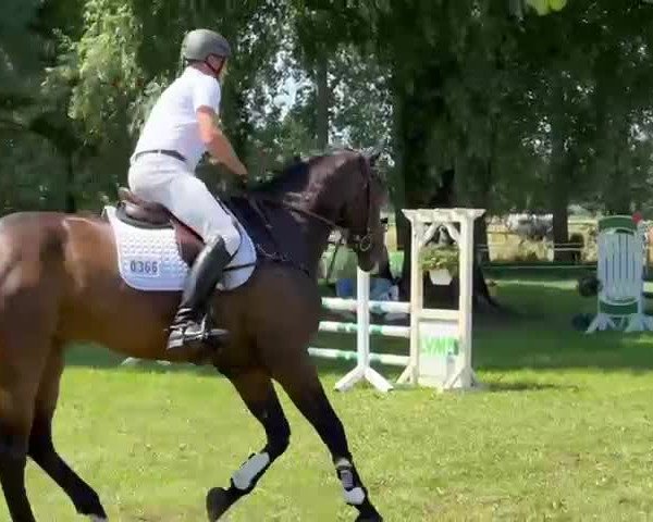 Reitturnier Wachtendonk 2023