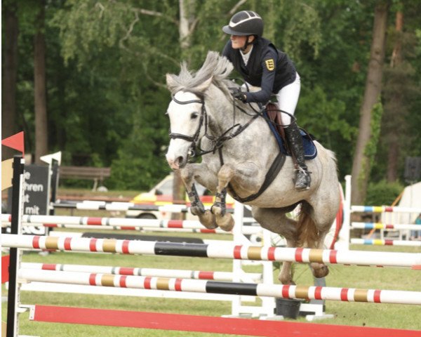 Zuchtstute Despina 80 (Deutsches Reitpony, 2017, von Del Piero 25)