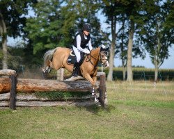 jumper Magic Dream (German Riding Pony, 2008, from FS Mr. Mobility)