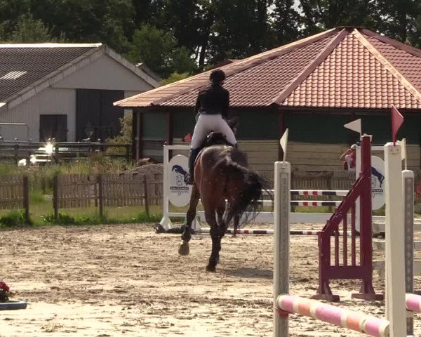 Reitturnier Schülp / Rendsburg 2023