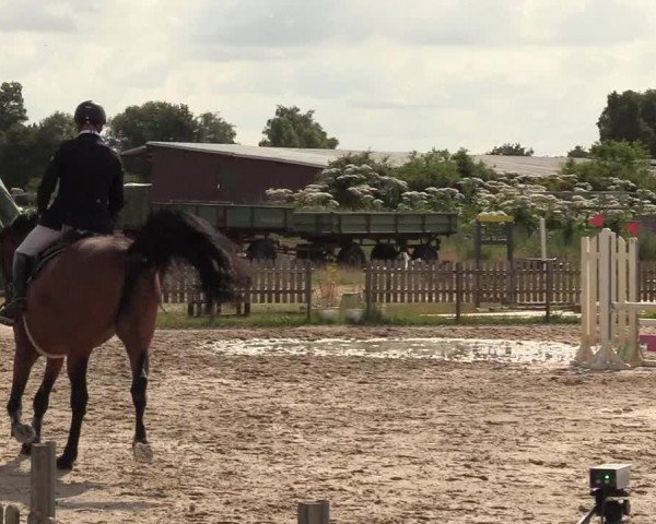 Reitturnier Schülp / Rendsburg 2023