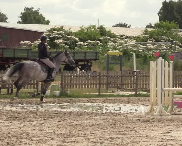 Reitturnier Schülp / Rendsburg 2023