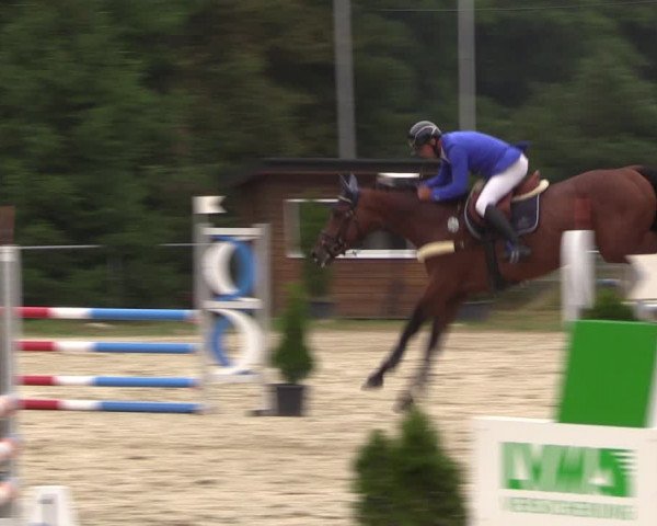 Reitturnier Bad Liebenstein/Sorga 2023