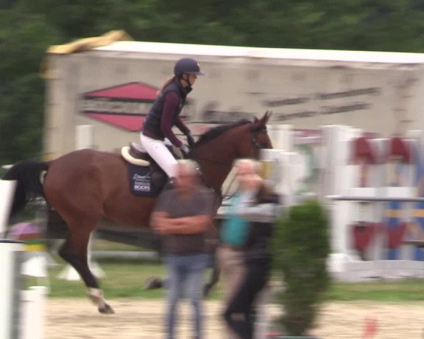 Reitturnier Bad Liebenstein/Sorga 2023
