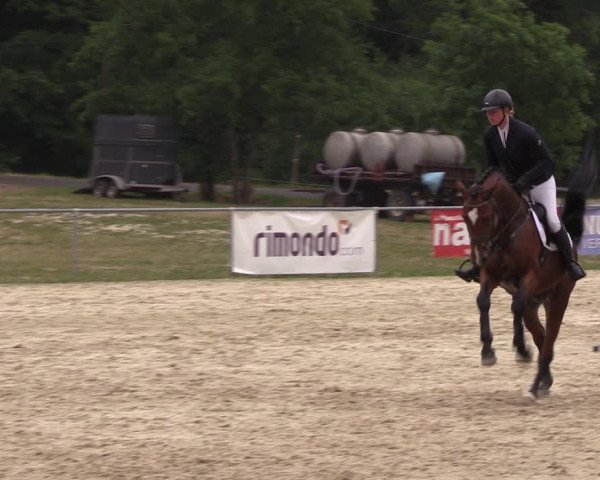 Reitturnier Bad Liebenstein/Sorga 2023