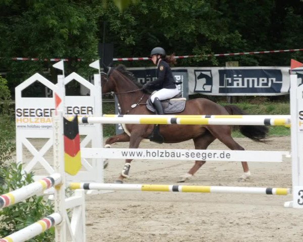 Reitturnier Walldorf/Winterheck PSG 2023