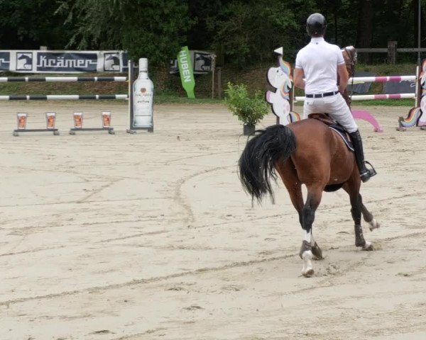 Reitturnier Walldorf/Winterheck PSG 2023