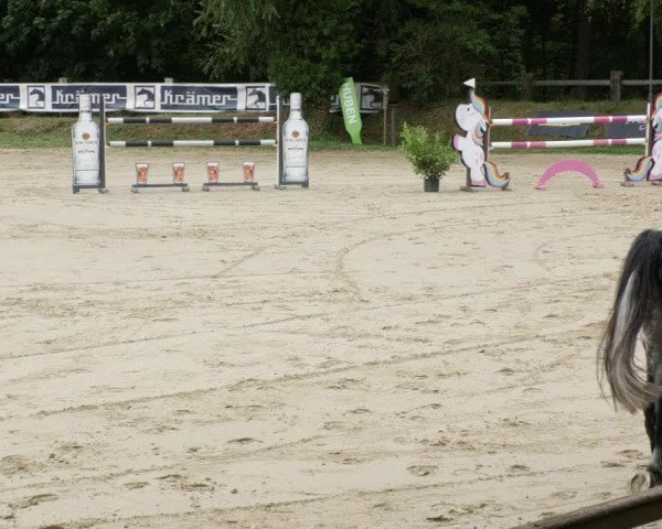 Reitturnier Walldorf/Winterheck PSG 2023