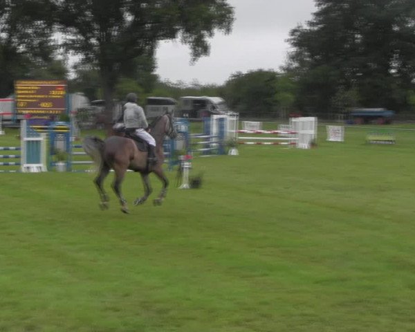 Reitturnier Ihleburg 2023