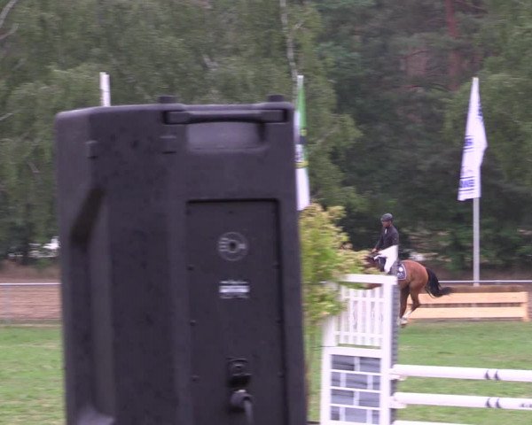 Reitturnier Niederwerbig 2023