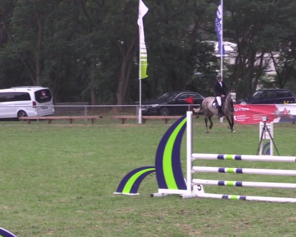 Reitturnier Niederwerbig 2023