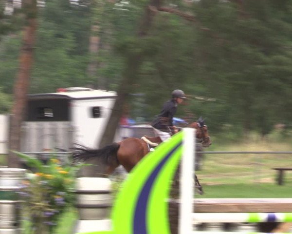 Reitturnier Niederwerbig 2023