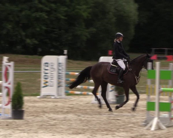 Reitturnier Bad Liebenstein/Sorga 2023