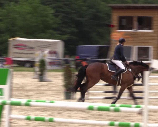 Reitturnier Bad Liebenstein/Sorga 2023