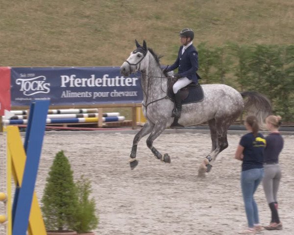 Reitturnier Margarethenhof /Beckingen 2023