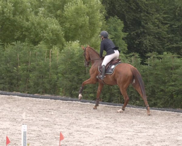 Reitturnier Margarethenhof /Beckingen 2023