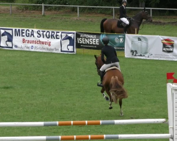 Reitturnier Wolfsburger Klassiker 2023