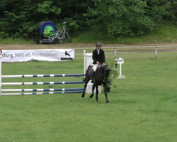 Reitturnier Wolfsburger Klassiker 2023