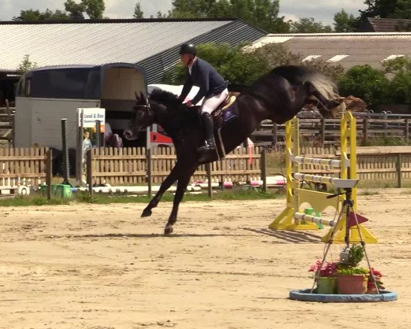 Reitturnier Schülp / Rendsburg 2023