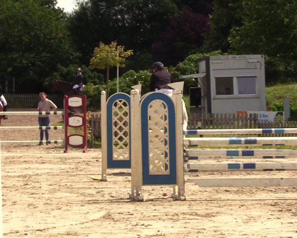 Reitturnier Schülp / Rendsburg 2023