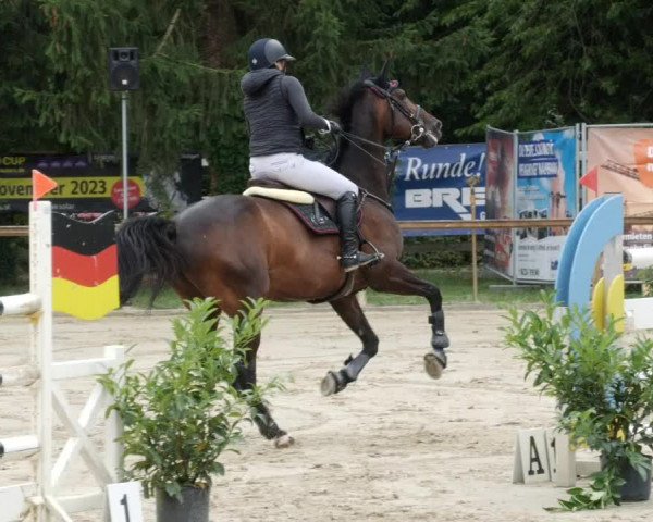 Reitturnier Walldorf/Winterheck PSG 2023