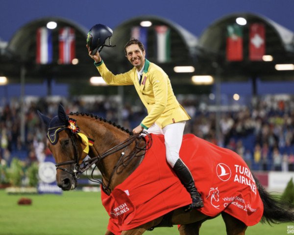 jumper Miss Blue Olsen Stables (Brazilian horse, 2013, from Chacco-Blue) jumper Miss Blue Olsen Stables (Brazilian horse, 2013, from Chacco-Blue)