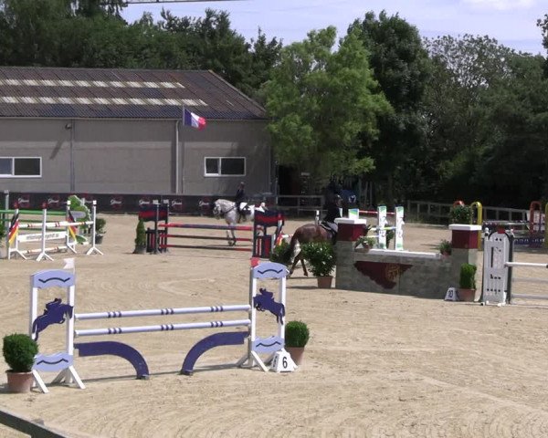Reitturnier Kalenborn Hegehof 2023