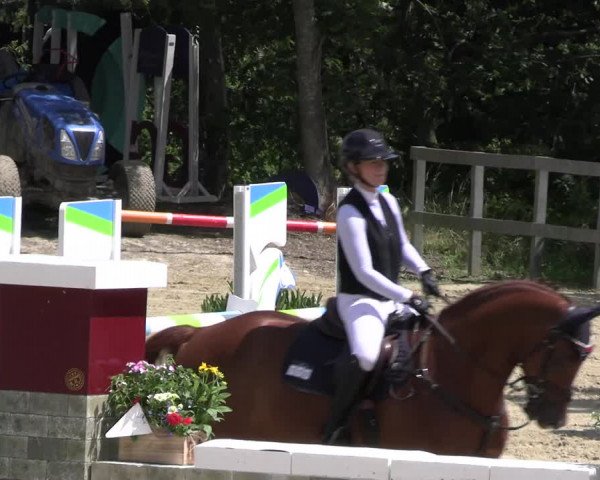 Reitturnier Kalenborn Hegehof 2023
