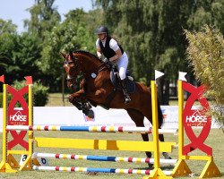 jumper Leni (Holsteiner, 2016, from Colore)