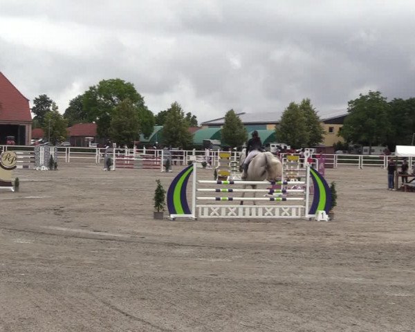 Reitturnier Neustadt/Dosse 2023