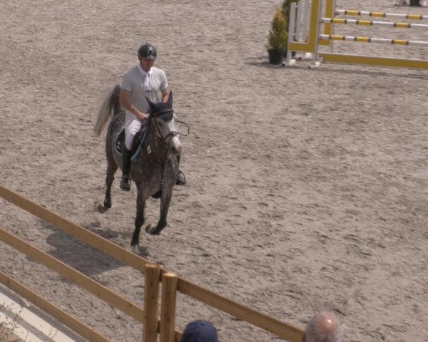 Reitturnier Margarethenhof /Beckingen 2023