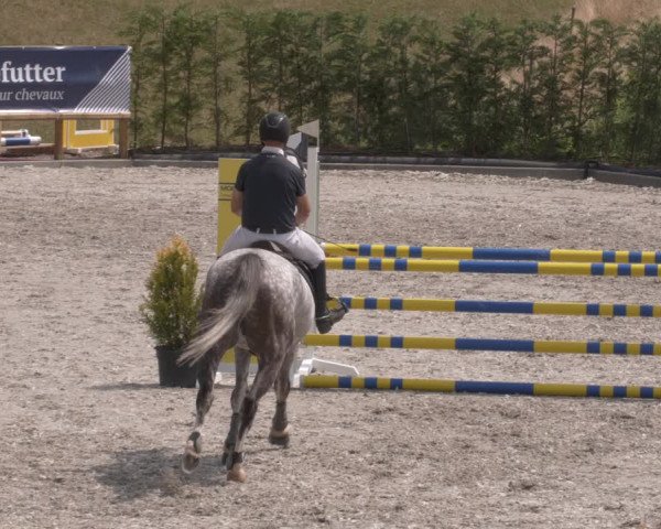 Reitturnier Margarethenhof /Beckingen 2023