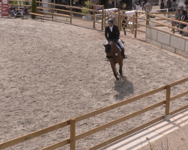 Reitturnier Margarethenhof /Beckingen 2023